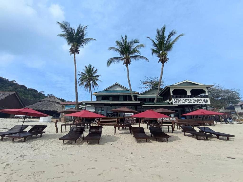 Seahorse Diver Guesthouse Kampong Pasir Panjang (Terengganu) Exterior foto